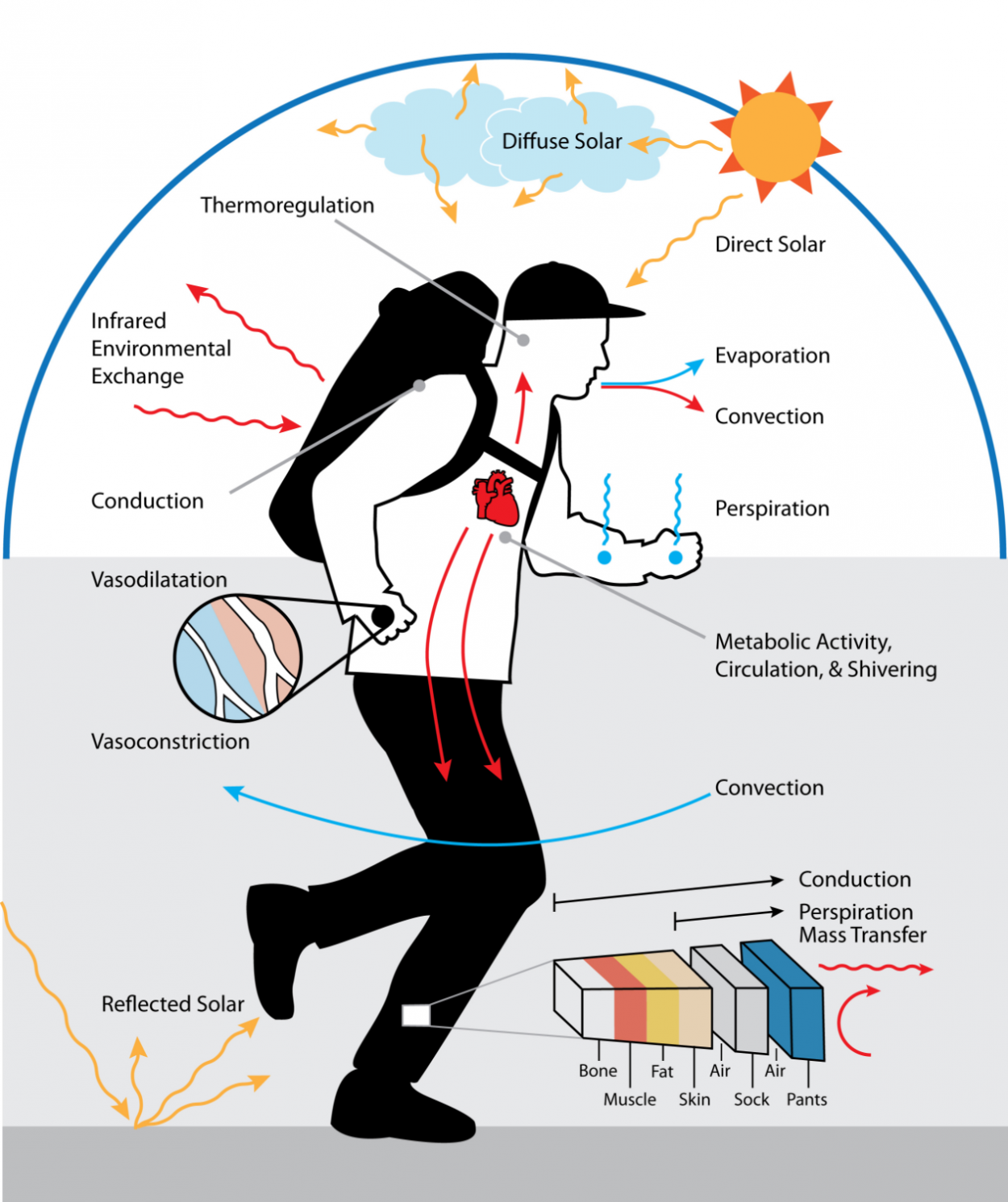 diagram of Human Simulation Technology