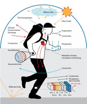 human thermal sensation and comfort environment.png human thermal sensation and comfort environment.png