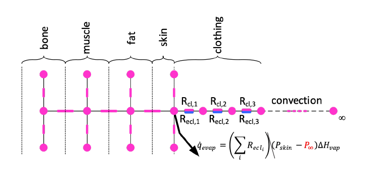 Basic Clothing Model Equation