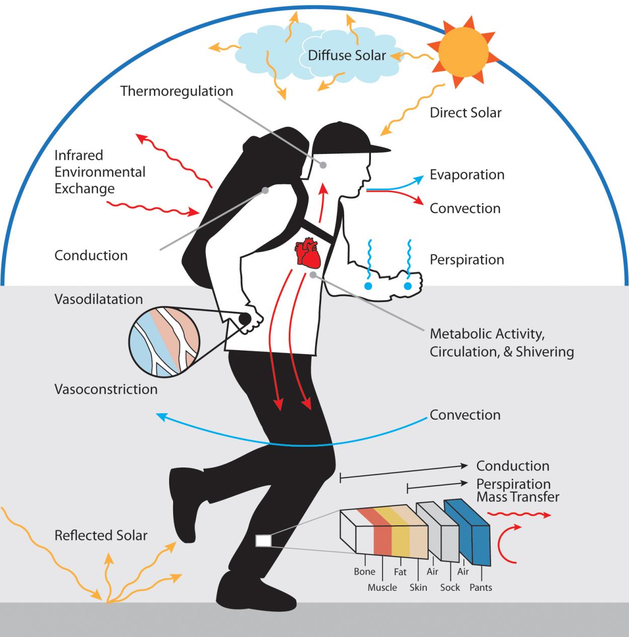 Simulate Any Level of Activity
