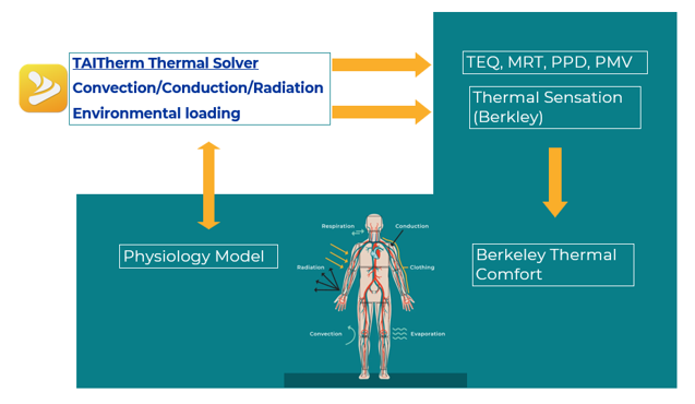 Workflow diagram of the Human Thermal Extension coupling a physiological model with TAITherm